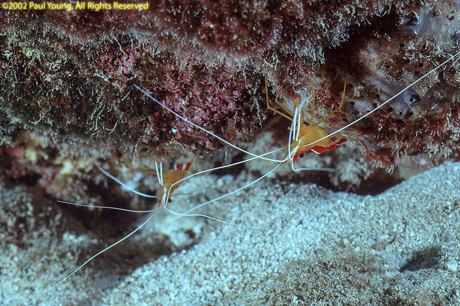 Sao Tome e Principe Photo Gallery